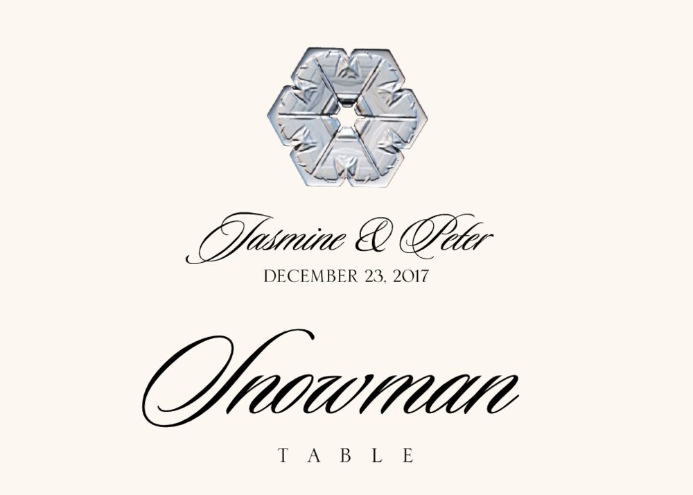 Winter Snowflake Assortment Wedding Table Names, Winter Table Name